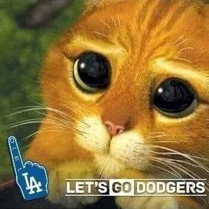 Meet your Posher, Carlos